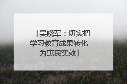 吴晓军：切实把学习教育成果转化为惠民实效