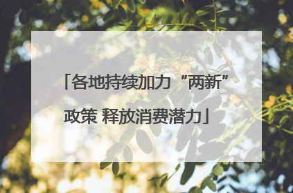 各地持续加力“两新”政策 释放消费潜力