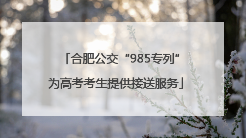 合肥公交“985专列”为高考考生提供接送服务