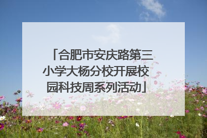 合肥市安庆路第三小学大杨分校开展校园科技周系列活动