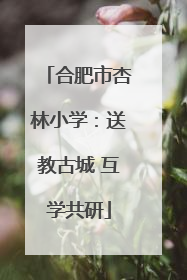 合肥市杏林小学：送教古城 互学共研