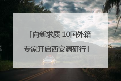 向新求质 10国外籍专家开启西安调研行