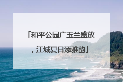 和平公园广玉兰盛放，江城夏日添雅韵
