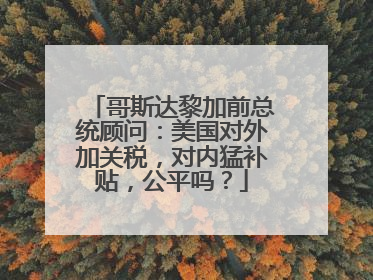 哥斯达黎加前总统顾问：美国对外加关税，对内猛补贴，公平吗？