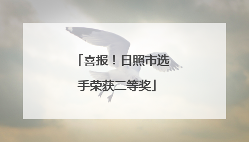 喜报！日照市选手荣获二等奖