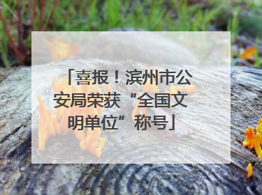 喜报！滨州市公安局荣获“全国文明单位”称号