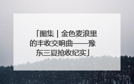 图集｜金色麦浪里的丰收交响曲——豫东三夏抢收纪实