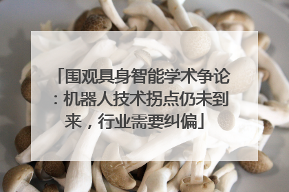 围观具身智能学术争论：机器人技术拐点仍未到来，行业需要纠偏