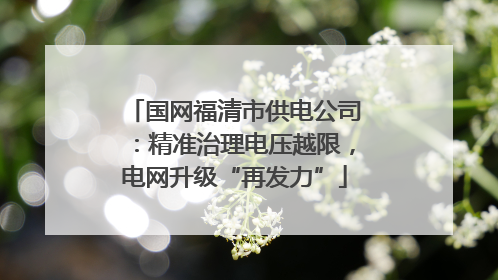 国网福清市供电公司：精准治理电压越限，电网升级“再发力”