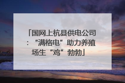 国网上杭县供电公司：“满格电”助力养殖场生“鸡”勃勃