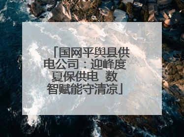 国网平舆县供电公司：迎峰度夏保供电  数智赋能守清凉