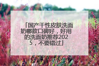 国产干性皮肤洗面奶哪款口碑好，好用的洗面奶推荐2025，不要错过