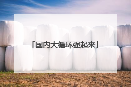 国内大循环强起来