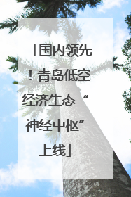 国内领先！青岛低空经济生态“神经中枢”上线