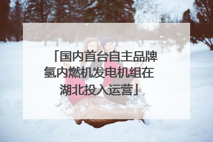 国内首台自主品牌氢内燃机发电机组在湖北投入运营