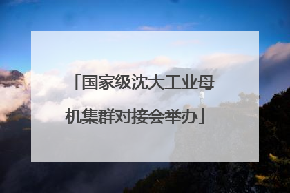 国家级沈大工业母机集群对接会举办