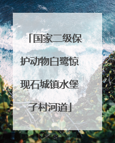 国家二级保护动物白鹭惊现石城镇水堡子村河道