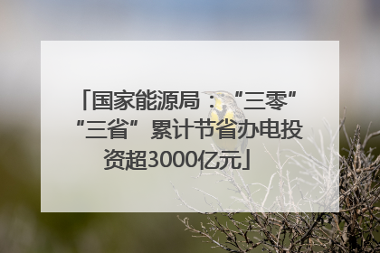 国家能源局：“三零”“三省”累计节省办电投资超3000亿元