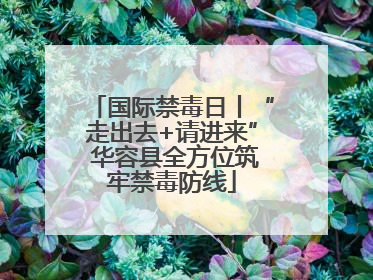 国际禁毒日丨“走出去+请进来” 华容县全方位筑牢禁毒防线