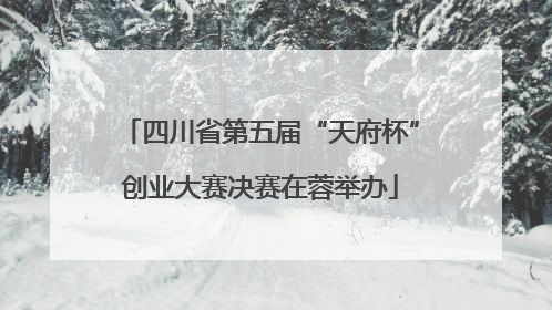 四川省第五届“天府杯”创业大赛决赛在蓉举办