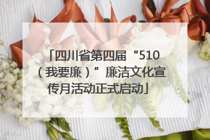 四川省第四届“510（我要廉）”廉洁文化宣传月活动正式启动