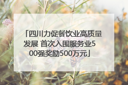 四川力促餐饮业高质量发展 首次入围服务业500强奖励500万元