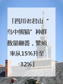 四川老君山“鸟中熊猫”种群数量翻番，繁殖率从15%升至32%