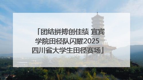 团结拼搏创佳绩 宜宾学院田径队闪耀2025四川省大学生田径赛场