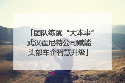团队练就“大本事” 武汉霍尼特公司赋能头部车企智慧升级