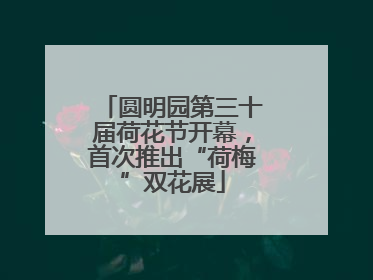 圆明园第三十届荷花节开幕，首次推出“荷梅”双花展