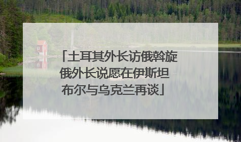 土耳其外长访俄斡旋 俄外长说愿在伊斯坦布尔与乌克兰再谈