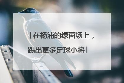 在杨浦的绿茵场上，踢出更多足球小将