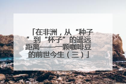 在非洲，从“种子”到“杯子”的遥远距离——一颗咖啡豆的前世今生（三）