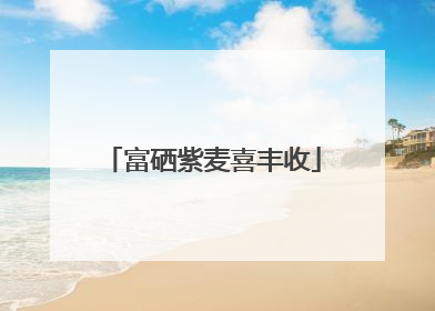 富硒紫麦喜丰收