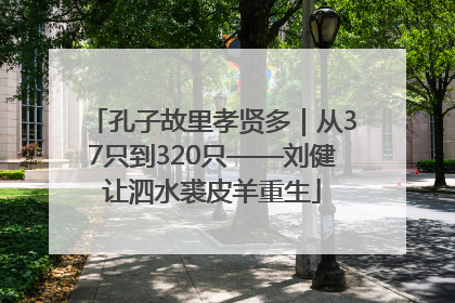 孔子故里孝贤多｜从37只到320只——刘健让泗水裘皮羊重生