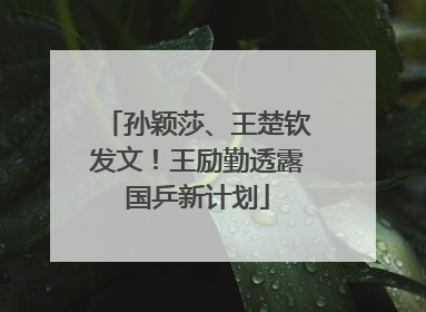 孙颖莎、王楚钦发文！王励勤透露国乒新计划