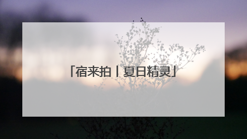 宿来拍丨夏日精灵