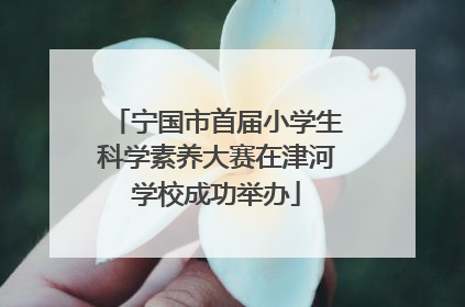 宁国市首届小学生科学素养大赛在津河学校成功举办