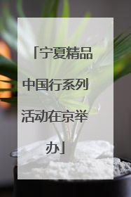 宁夏精品中国行系列活动在京举办