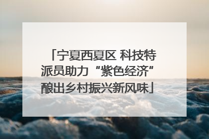 宁夏西夏区 科技特派员助力“紫色经济”酿出乡村振兴新风味