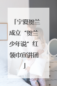 宁夏贺兰成立“贺兰少年说”红领巾宣讲团