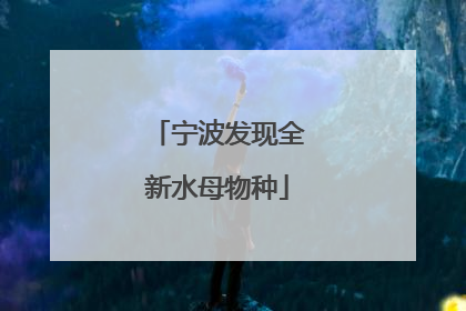 宁波发现全新水母物种