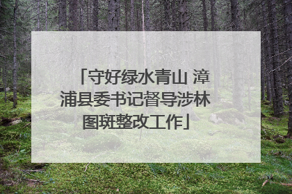 守好绿水青山 漳浦县委书记督导涉林图斑整改工作