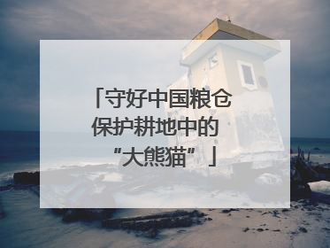 守好中国粮仓 保护耕地中的“大熊猫”