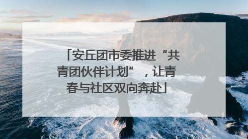 安丘团市委推进“共青团伙伴计划”，让青春与社区双向奔赴