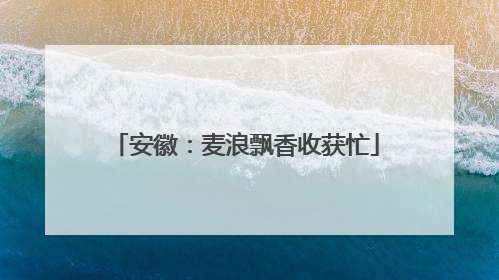 安徽：麦浪飘香收获忙