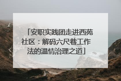 安职实践团走进西苑社区：解码六尺巷工作法的温情治理之道