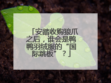 安踏收购狼爪之后，谁会是鸭鸭羽绒服的“国际跳板”？