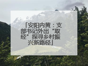 安阳内黄：支部书记外出“取经”探寻乡村振兴新路径