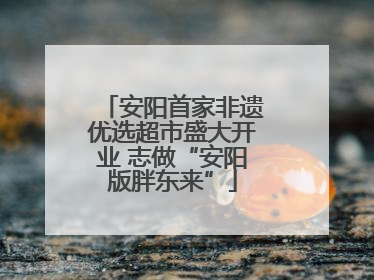 安阳首家非遗优选超市盛大开业 志做“安阳版胖东来”